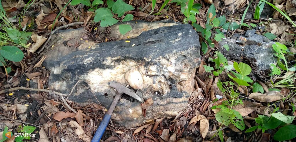 IMG_20210724_102719_616