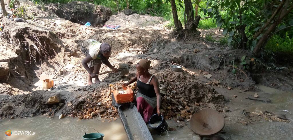 IMG_20210810_141032_655