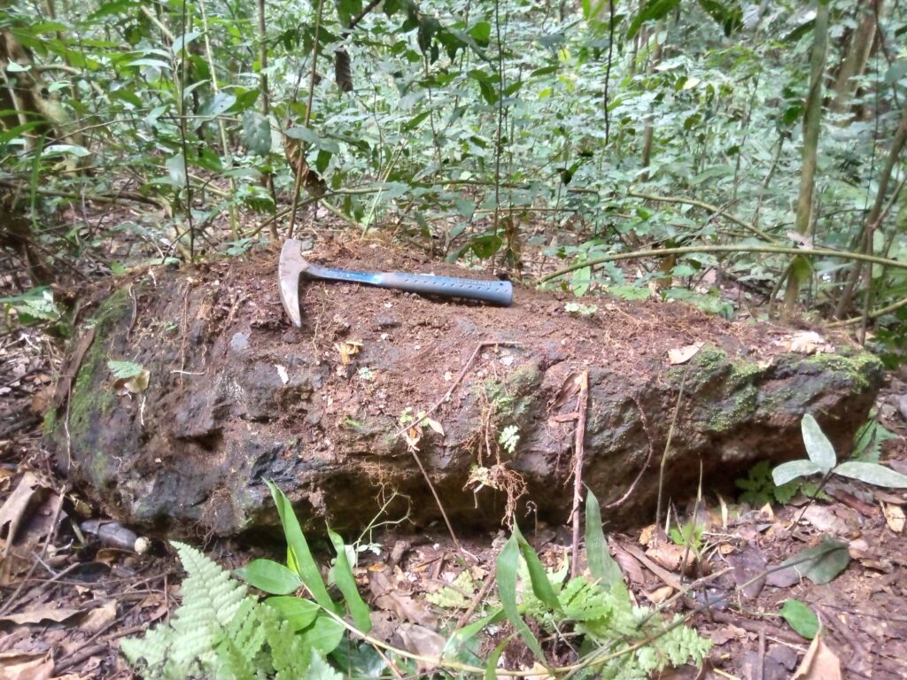 IMG_20230606_124632_495