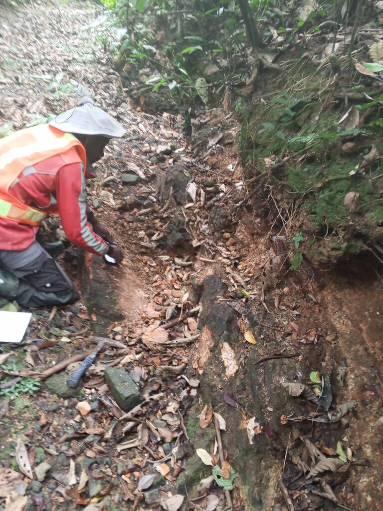 IMG_20240722_095017_486@-680827362