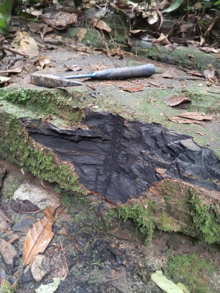 IMG_20240726_092127_058