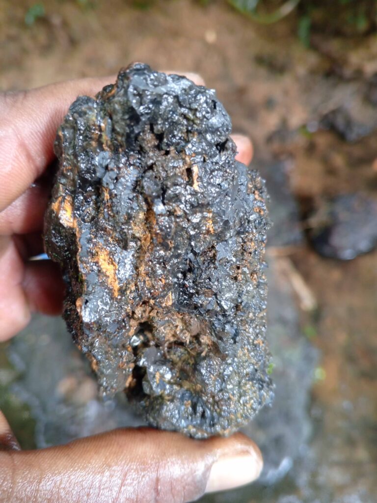 IMG_20240827_100331_946